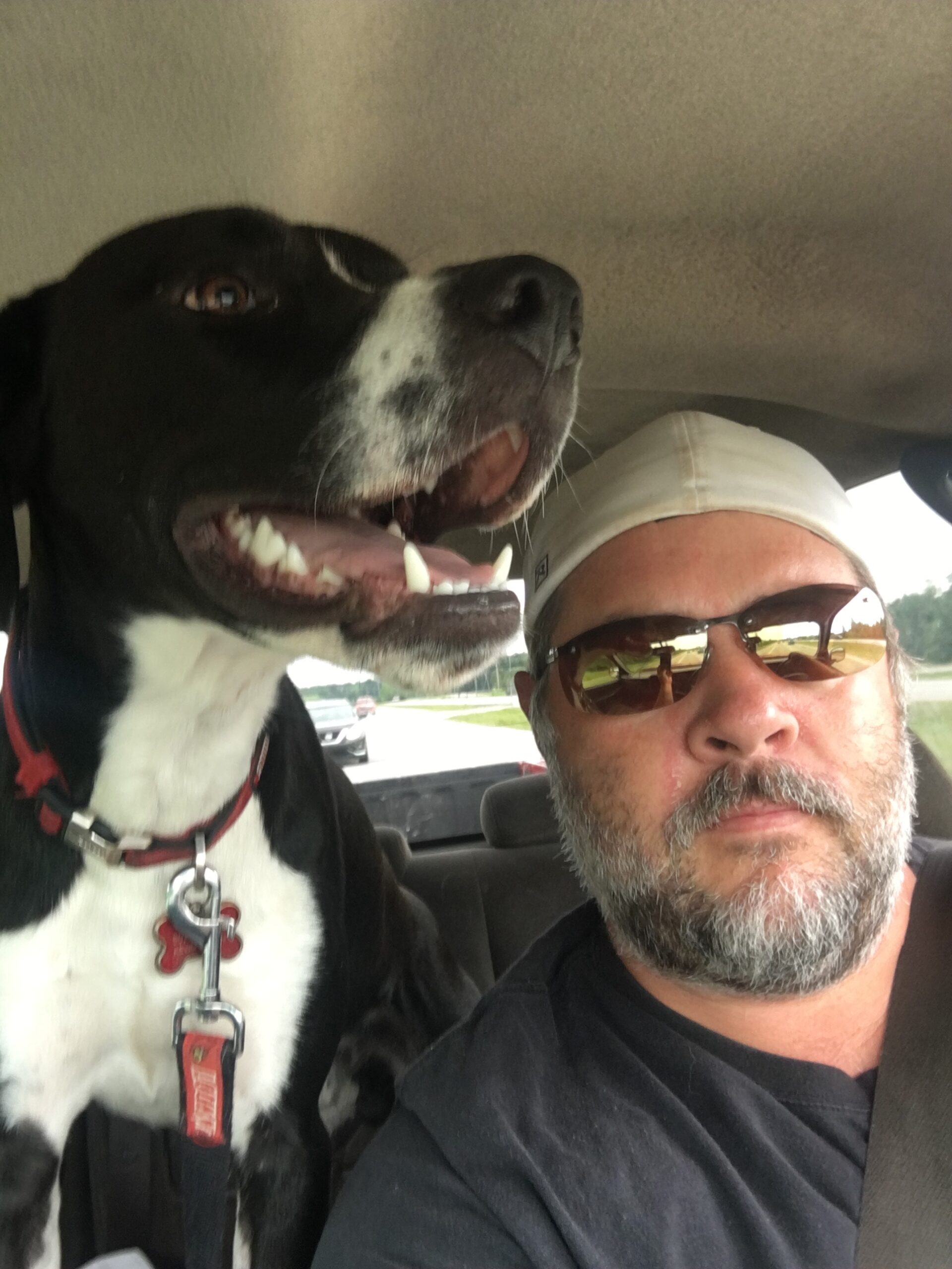 Kevin FurCations Pet Sitting